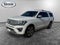 2021 Ford Expedition Max Platinum